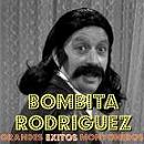 Avatar de Usuario