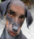 Avatar de Usuario